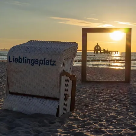 Strandrose An Der Seebruecke *