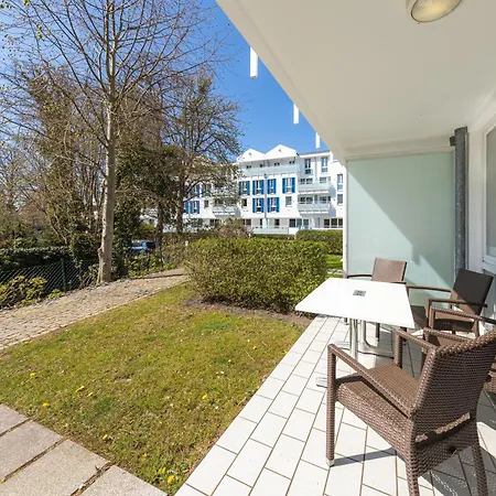 Strandrose An Der Seebruecke Zingst