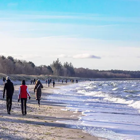 Strandrose An Der Seebruecke * Zingst